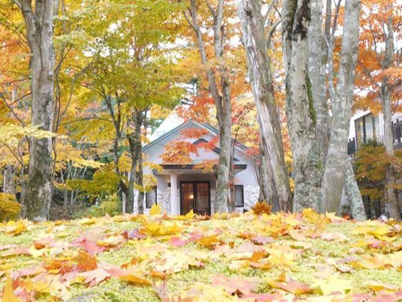 Momiji trải khắp Karuizawa