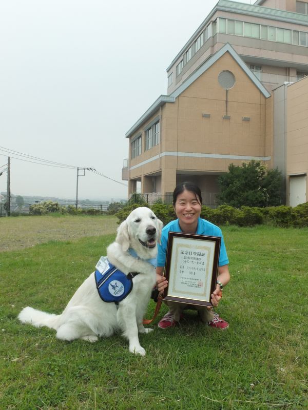 Chó trị liệu Nhật Bản Bailey