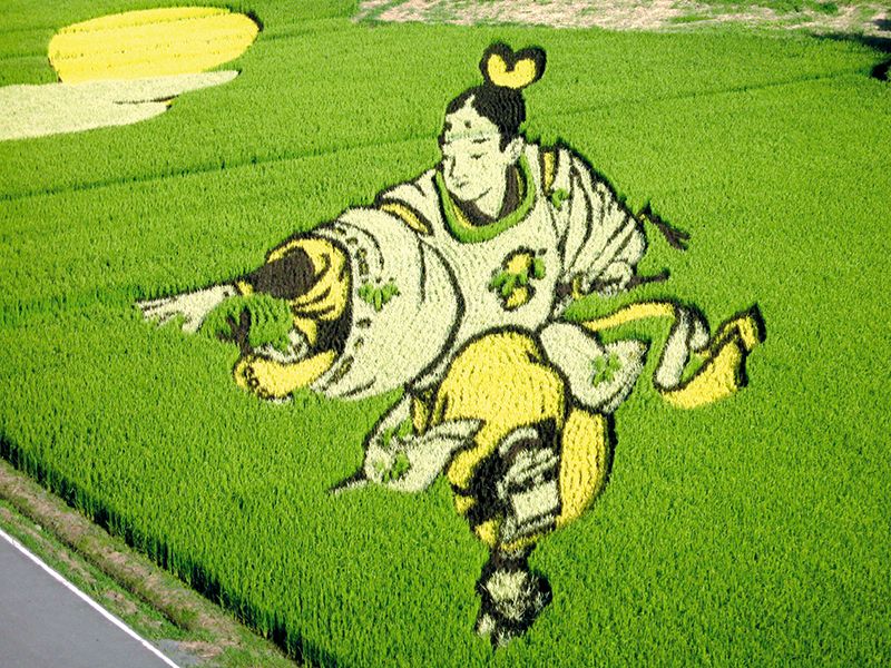 Nghệ thuật vẽ tranh trên đồng ruộng độc đáo của Nhật Bản